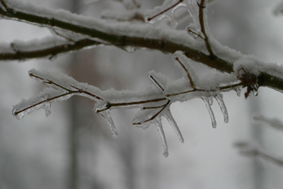 ice