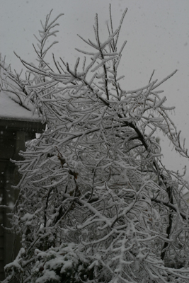 ice