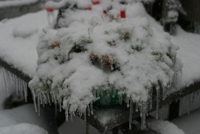 ice