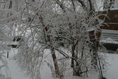 ice
