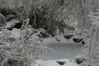 ice