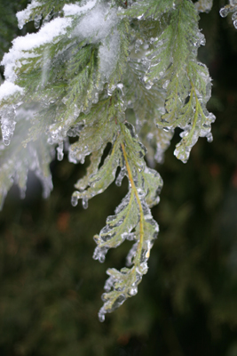 ice