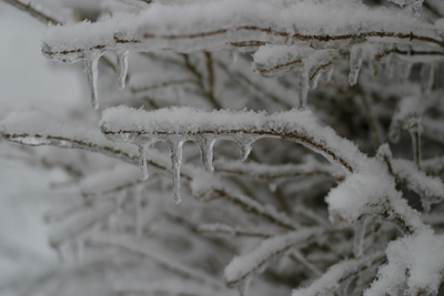 ice