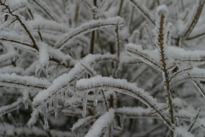 ice