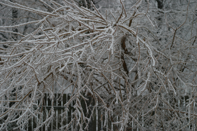 ice