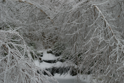 ice